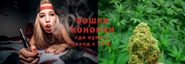 сатива Горняк