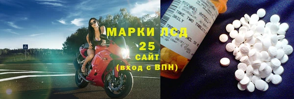 сатива Горняк
