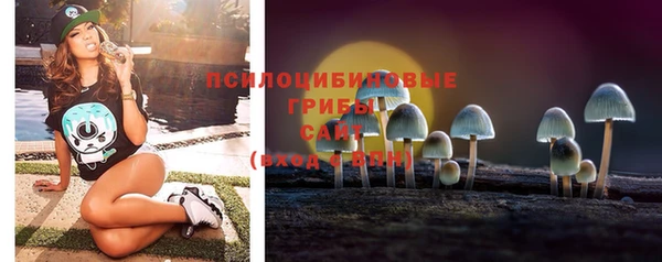 сатива Горняк