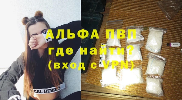 спайс Гусев