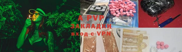 сатива Горняк