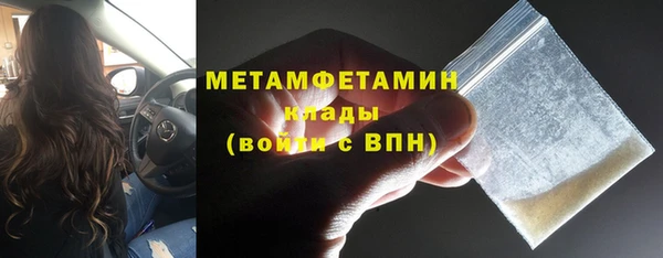 сатива Горняк