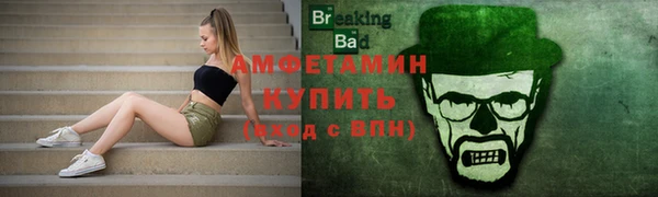 сатива Горняк