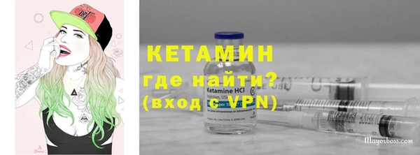 сатива Горняк