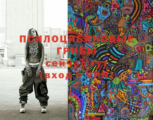 марки nbome Гусиноозёрск