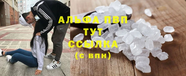 мдпв Елизово