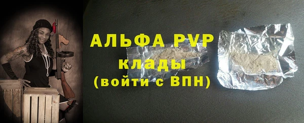 мдпв Гусь-Хрустальный