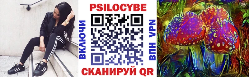 продажа наркотиков  Дагестанские Огни  Псилоцибиновые грибы Cubensis 
